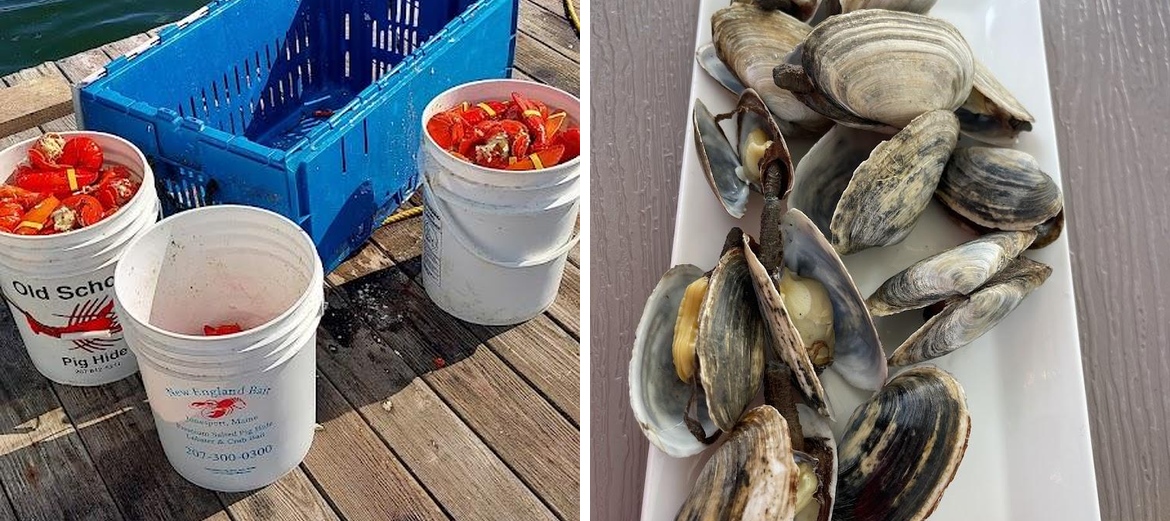 Perry's Lobster Co